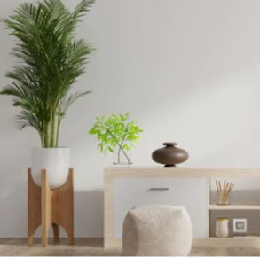 Living Sets
